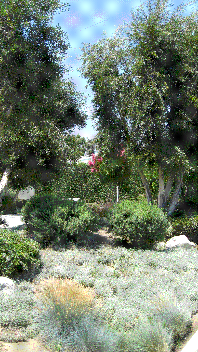 Lynn and Susan Purdy - Grand Prize Winner